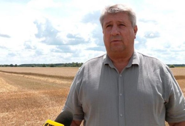 Зниження цін на пшеницю загрожує збору врожаю, заявляє аграрій — КУРКУЛЬ