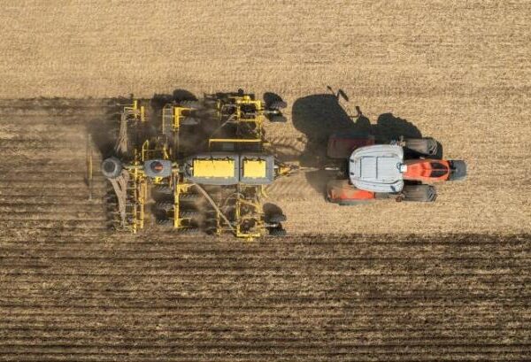 Вплив різноманітних методів обробки ґрунту на кореневу систему ріпаку: практичні результати: КУРКУЛЬ