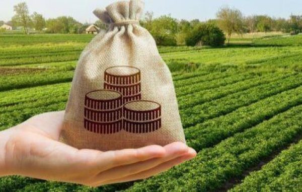 Податківці визначили області з найвищими земельними платежами — Мінфін