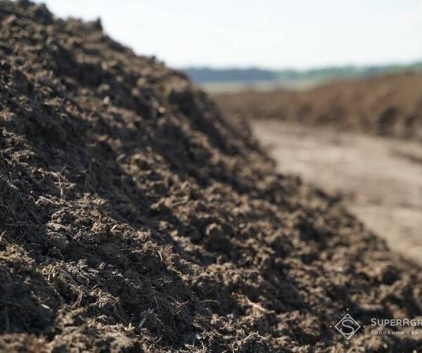 Кримінальне провадження розпочато щодо фермера з Миколаївської області за внесення…