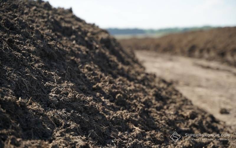 Кримінальне провадження розпочато щодо фермера з Миколаївської області за внесення посліду —…
