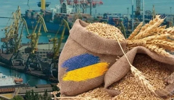 Припинення роботи портів загрожує не тільки зерновому сектору, але й загалом економіці — Ірина Коссе — Мінфін