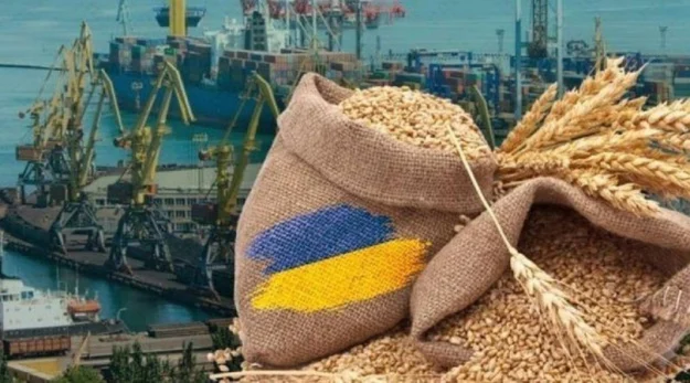 Зупинка роботи морських портів через російські атаки загрожує не лише експорту зерна, а й імпорту пального, добрив і сировини для української промисловості.