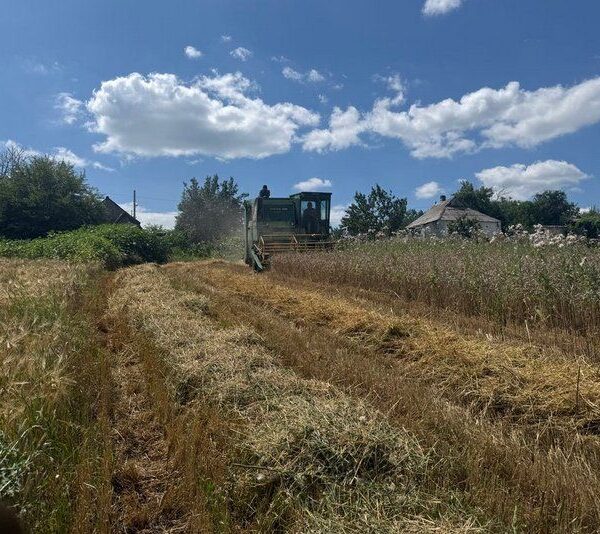 Аграрії Краматорського району взялися за збір врожаю, незважаючи на безперервний ризик ворожих атак.