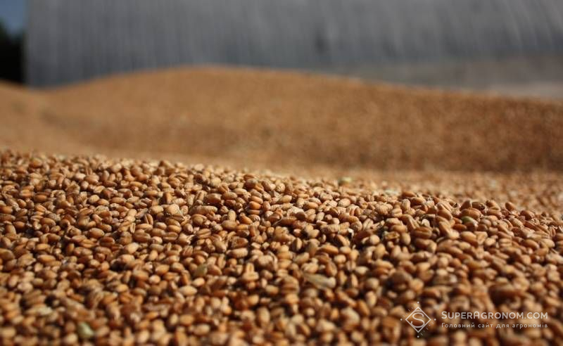 How did the main crops finish the 2025 season — results released
