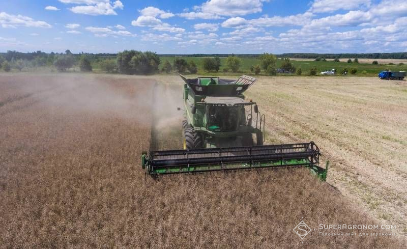 Ріпак в Україні вже зібрано майже на 540 тис. га: названо області-лідери за намолотом Ріпак в Україні вже зібрано майже на 540 тис. га: названо області-лідери за намолотом