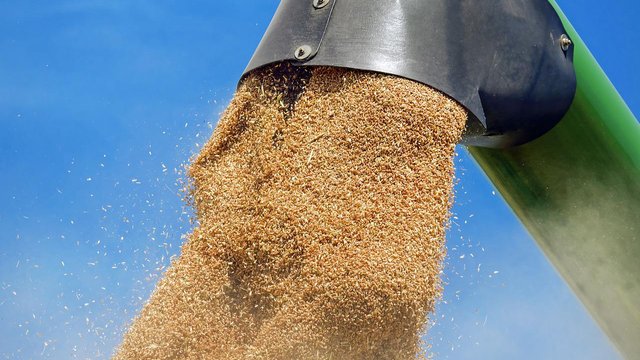 ВАР запропонувала уряду антикризові заходи для підтримки агросектору через проблеми з морською логістикою