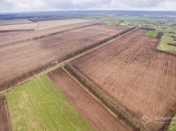 FieldTrace полегшує дотримання вимог EUDR: огляд нового сервісу — SuperAgronom.com