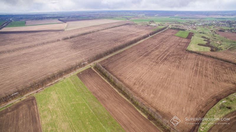 FieldTrace полегшує дотримання вимог EUDR: огляд нового сервісу — SuperAgronom.com