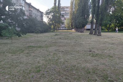 У Київзеленбуді розповіли, де у столиці найбільше декоративних луків з різнтрав'ям