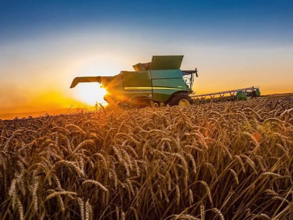 Аграрний сектор у збитках: виробництво скоротилося на 1,6% — Мінфін