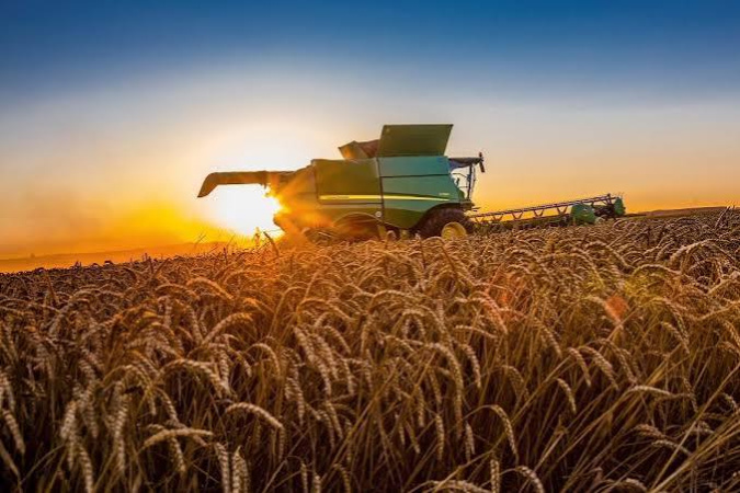 Виробництво сільськогосподарських товарів в Україні за перше півріччя 2026 року скоротилося на 1,6% у порівнянні з відповідним періодом 2025 року. При цьому за результатами п’яти місяців спостерігалося зростання на 1,4%, як інформує Державна служба статистики (Держстат).► 