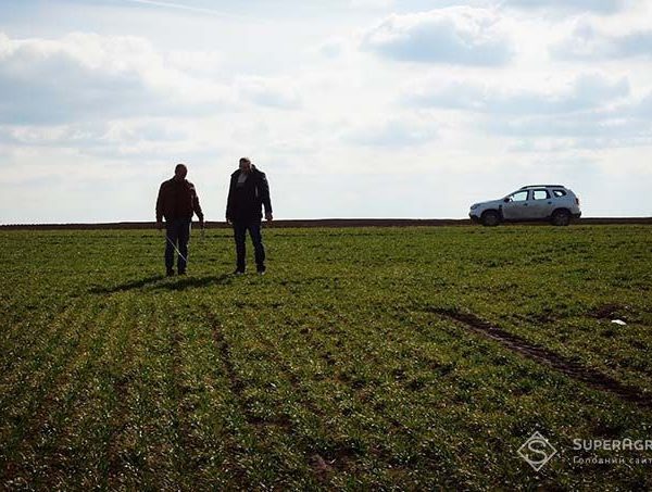 Мобілізація спричинила дефіцит працівників в агросекторі, дехто вважає, що в деяких сферах це вже критично — SuperAgronom.com