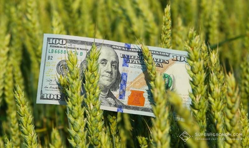 What is the state of crops in the regions, what harvest to expect, and what are the possible logistical risks, analysts explained What is the state of crops in the regions, what harvest to expect, and what are the possible logistical risks, analysts explained