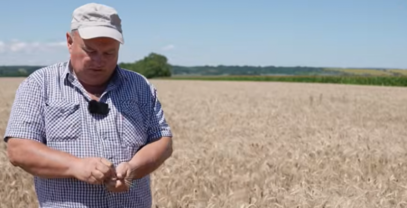 Суспільне Суспільне
