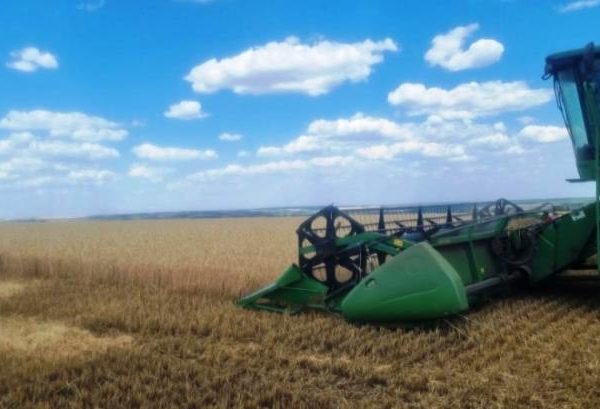 На Донеччині, попри ворожі обстріли, зібрано 60% ранніх зернових культур.