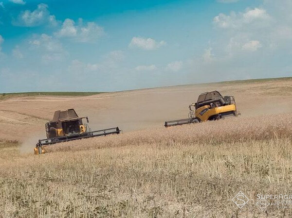 Зібрано ранні врожаї 2026 року на Прикарпатті, середня врожайність зернових становить 5,64 тонни з гектара — SuperAgronom.com