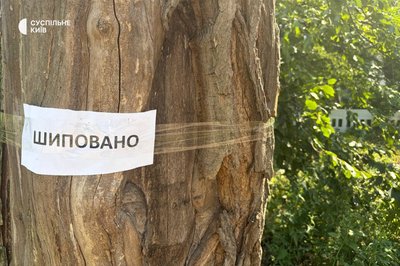 Кияни протестують проти вирубки дерев на Теремках: що кажуть у поліції та КМДА