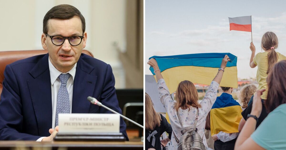 Фото до статті