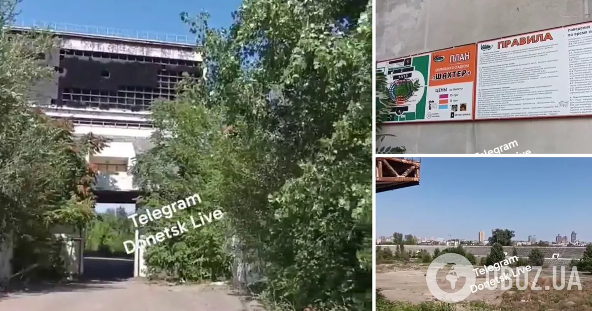 Фото до статті