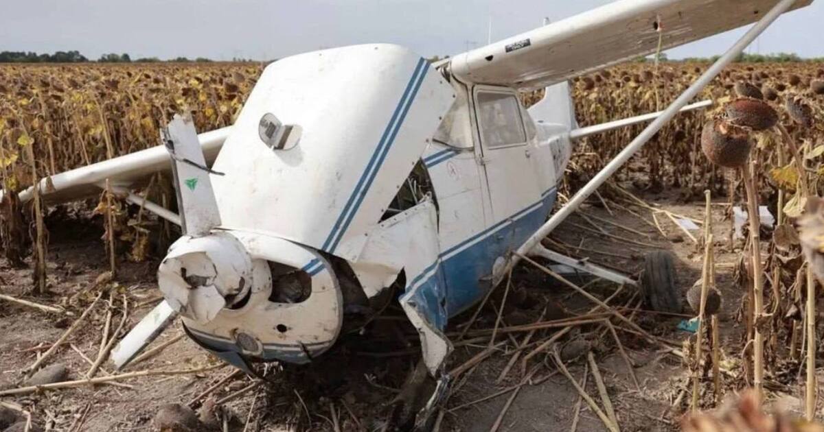 Фото до статті