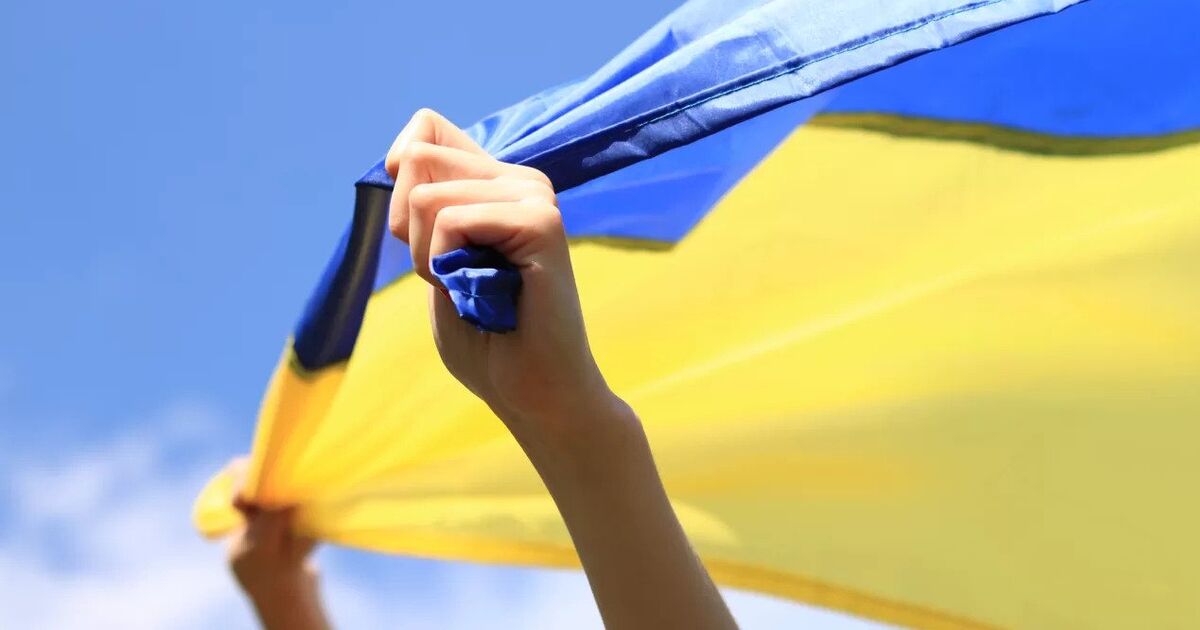 Фото до статті