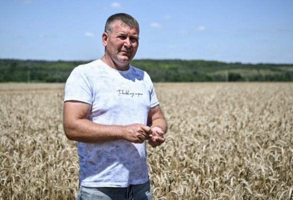 Через ризик артобстрілів аграріїв прикордонних областей не наважуються складувати зерно — КУРКУЛЬ