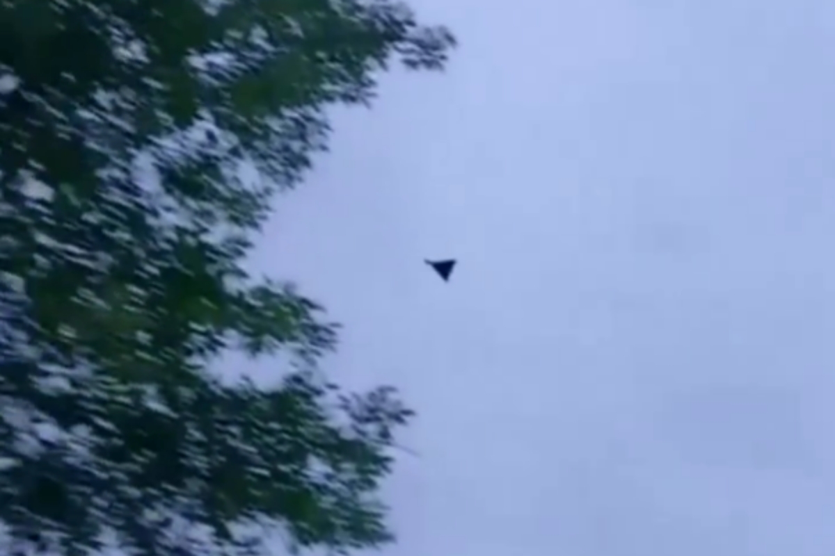 Фото до статті
