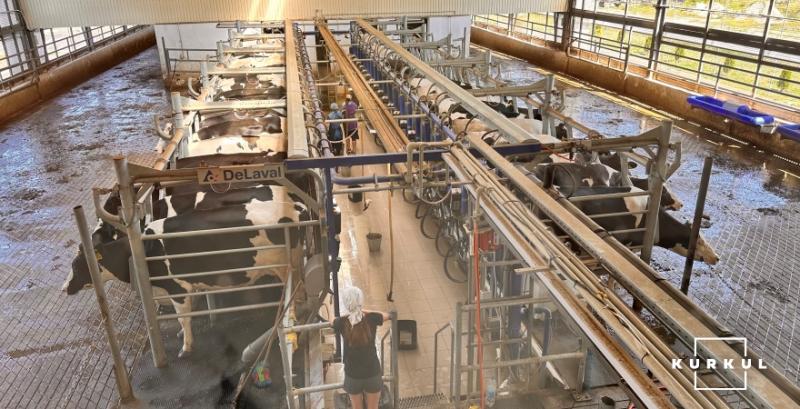 Сучасний комплекс дозволив молочній фермі знизити собівартість продукції Сучасний комплекс дозволив молочній фермі знизити собівартість продукції