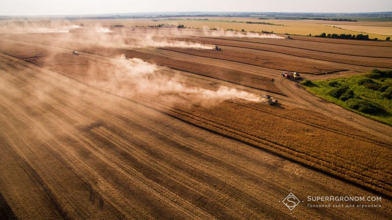 МХП, ТАС Агро та ІМК завершили збиральну кампанію ранніх культур 