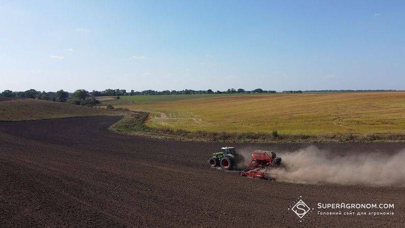 Phosphorus and potassium for winter crops should be applied deeper: Polish specialists explained why