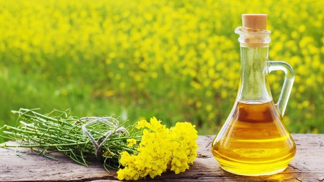 Україна збільшила експорт рапсової олії в 2025/26 МР у 2,5 рази – «Укроліяпром»