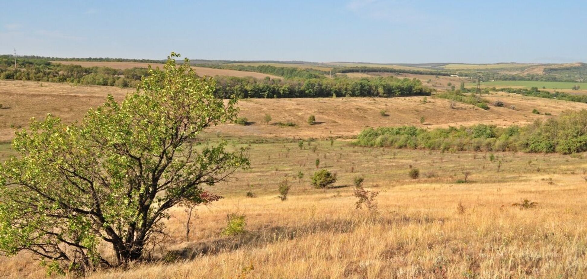 Степ поблизу с. Платонівка, Донеччина. Ілюстративне архівне фото