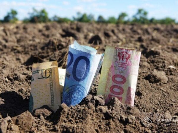 Кредитування посівної компанії для аграріїв до моменту реалізації врожаю: уроки компанії «Скіф» — SuperAgronom.com