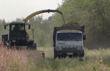 Збір урожаю Земля. Фото: Youtube
