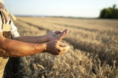 Яка реальна вартість землі в Україні