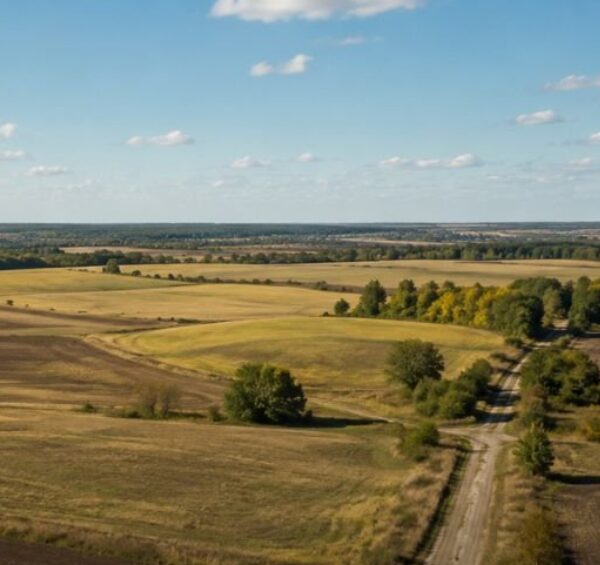 Ділянку між кількома власниками розділять без судового втручання: 5 кроків, що збережуть землю
