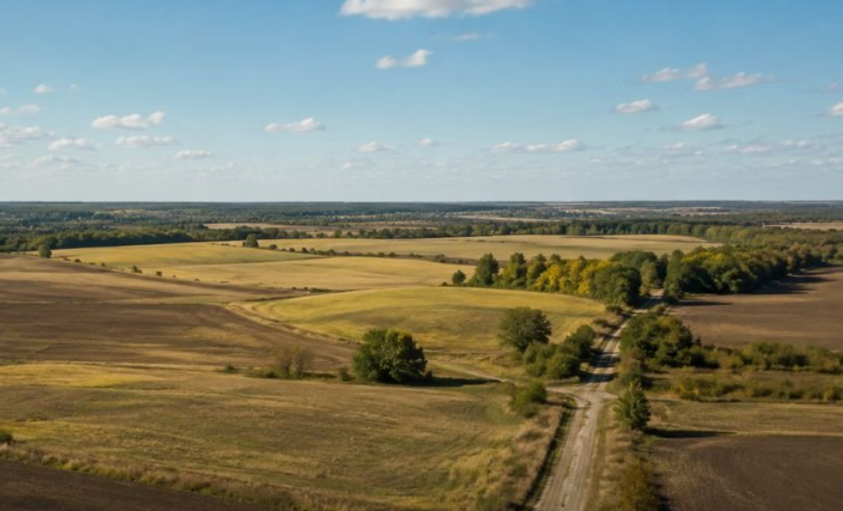 Фото до статті