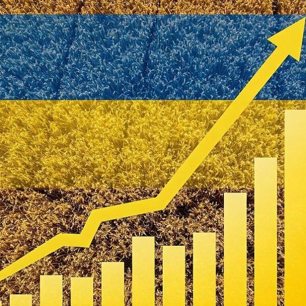 Фінансова установа України: Державні борги за останній рік зросли на 150%