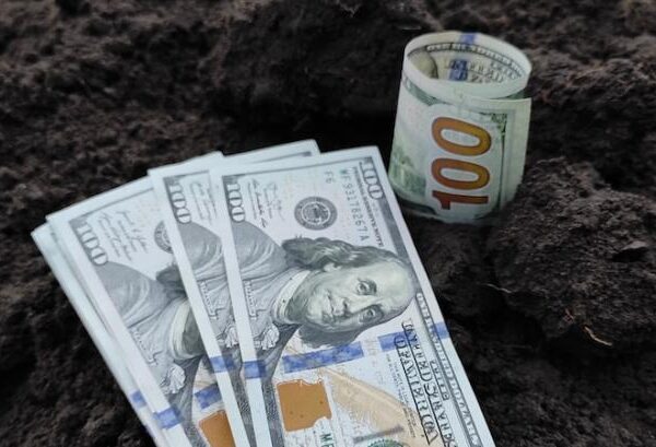 Фермера на Сумщині підозрюють у незаконному заволодінні майже 1 мільйоном гривень державної підтримки — КУРКУЛЬ