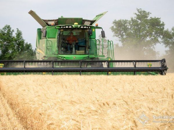 На Черкащині зібрали 5,5 тонн озимої пшениці з гектара, ярого ячменю — 4,99 тонн з гектара.