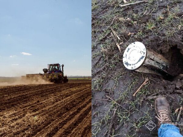 Уряд запровадить перевірку збитків урожаю, спричинених війною — SuperAgronom.com