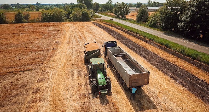 Cygnet Agrocompany summarized the harvest results and announced plans for the 2027 sowing campaign