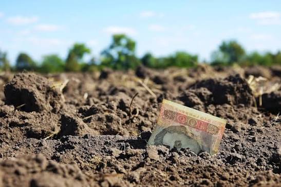 Податкове звільнення від сплати земельного податку для підприємств, розташованих поблизу територій активних бойових дій, може бути запроваджено — Міністерство фінансів
