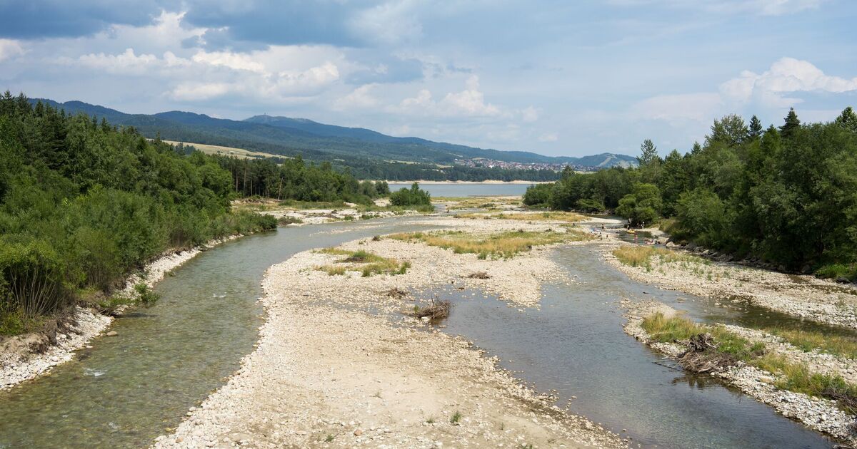 Фото до статті