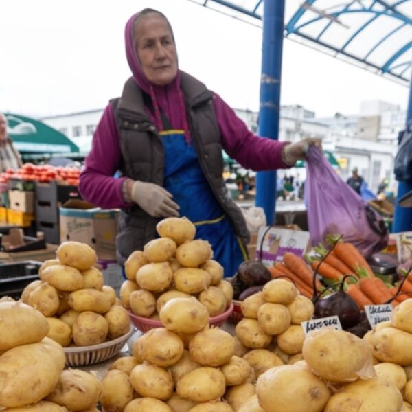 Картопля зросте в ціні на 25–40% взимку: як вигідно придбати восени