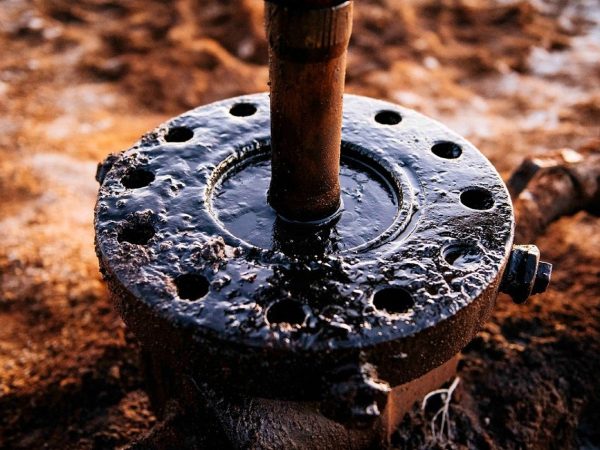 Ціни на нафту знижуються через сподівання на підсумки перемовин між США та Іраном.