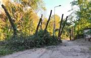 Розроблено єдиний проєкт для будівництва теплотраси на Теремках | Столична Нерухомість