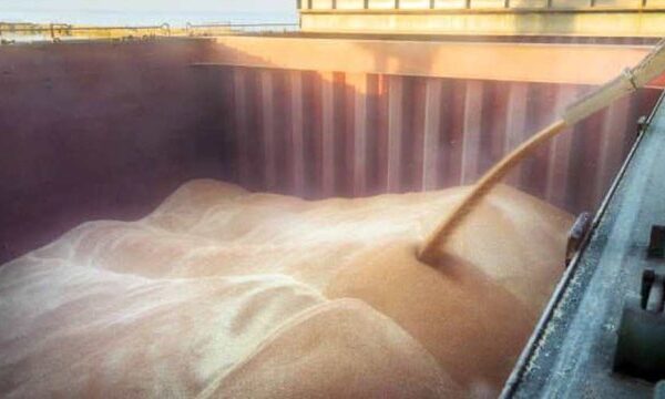 Уряд переглянув мінімальні допустимі ціни на вивезення деяких видів сільськогосподарських товарів.