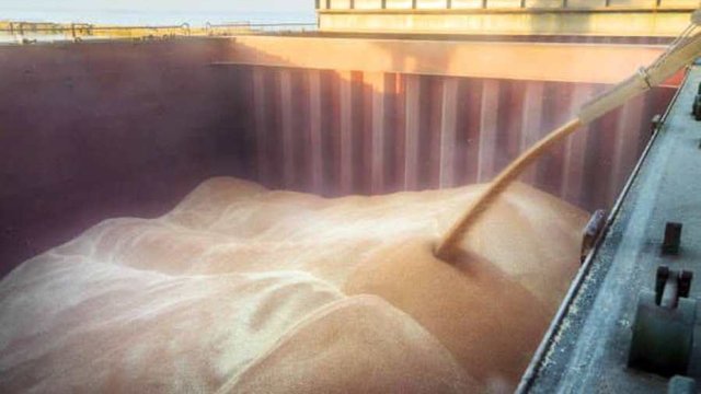 Кабмін скоригував мінімально допустимі експортні ціни на окремі види агропродукції